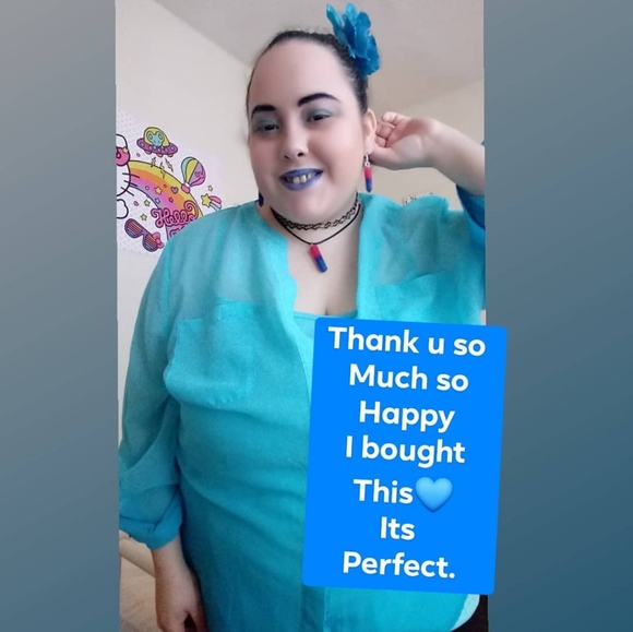 Simply Emma NWT Sheer OmbrΓ© Blouse & Liner Top 2X - Picture 1 of 6